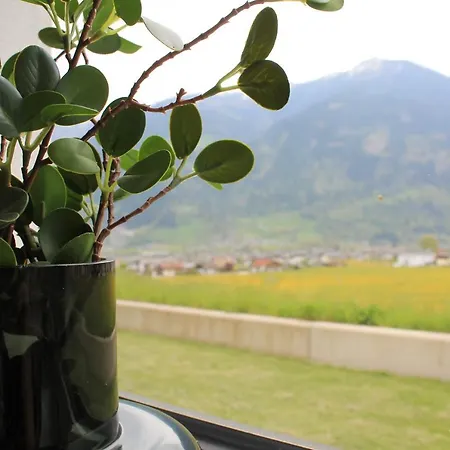 Theview Ahorn * Fuegen