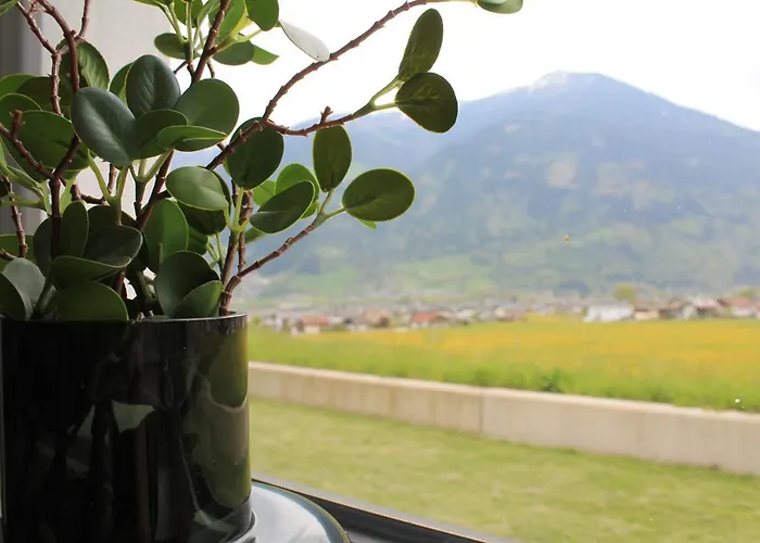 Theview Ahorn * פוגן